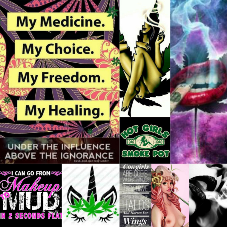 Canna Candy banner image
