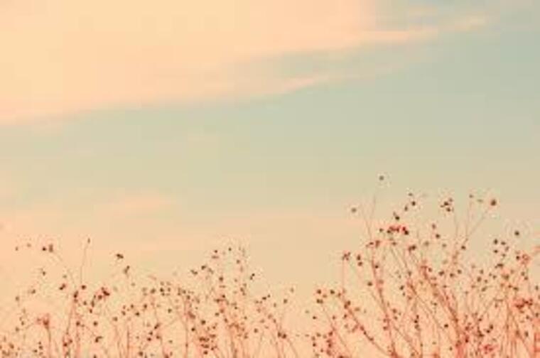 Eulalie banner image