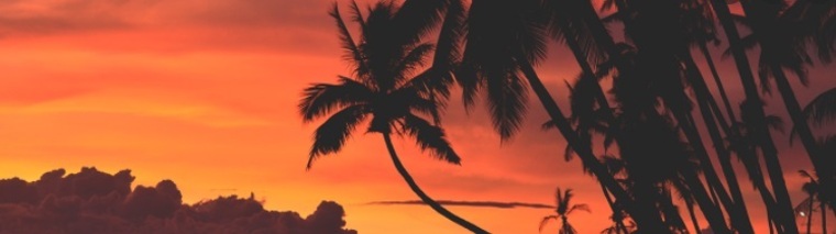 Nadin banner image