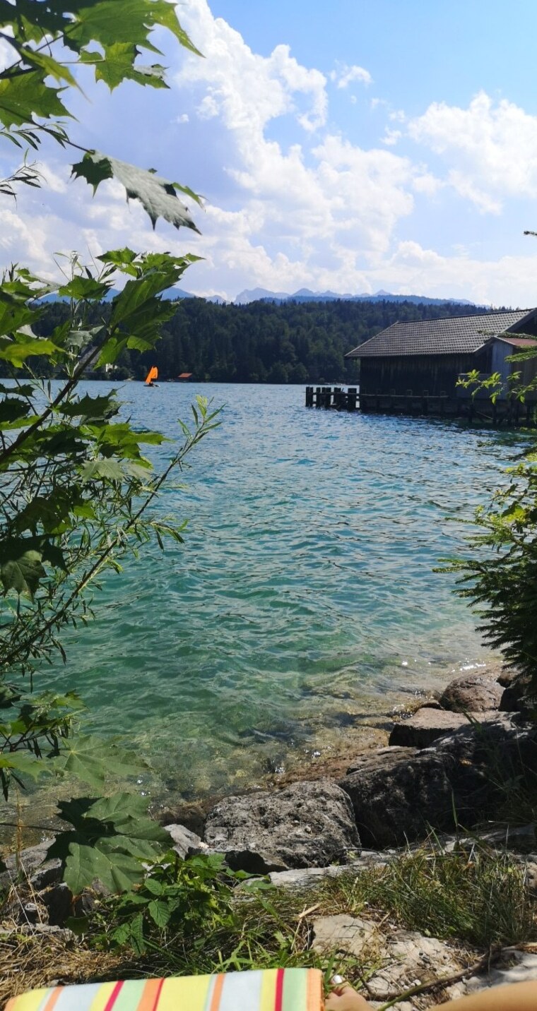 Lalilu cover image