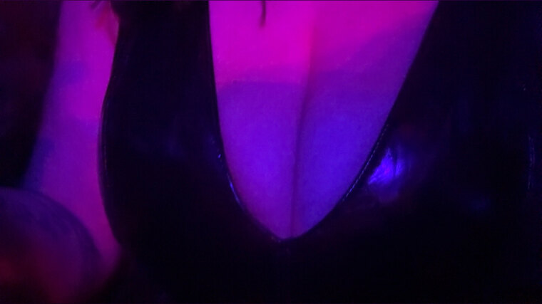 Miss Feline cover image