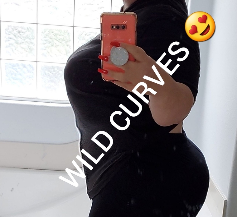 Wild curves banner image