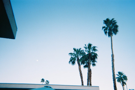 Shel banner image