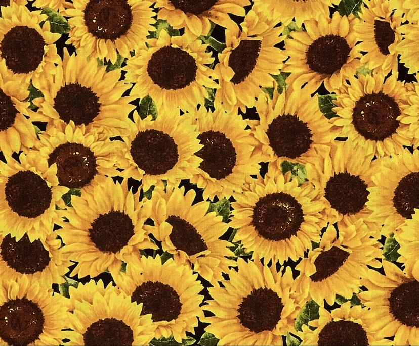 Pheonix_goddess banner image