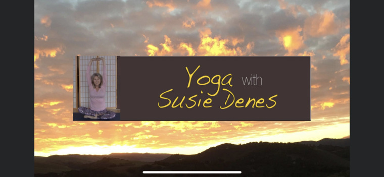 Live Yoga with Susie Denes banner image