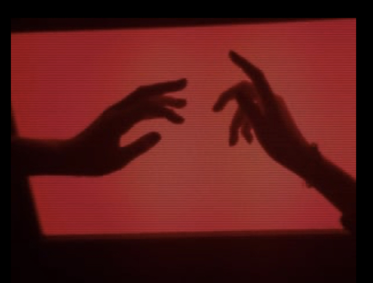 Lady harper rose banner image