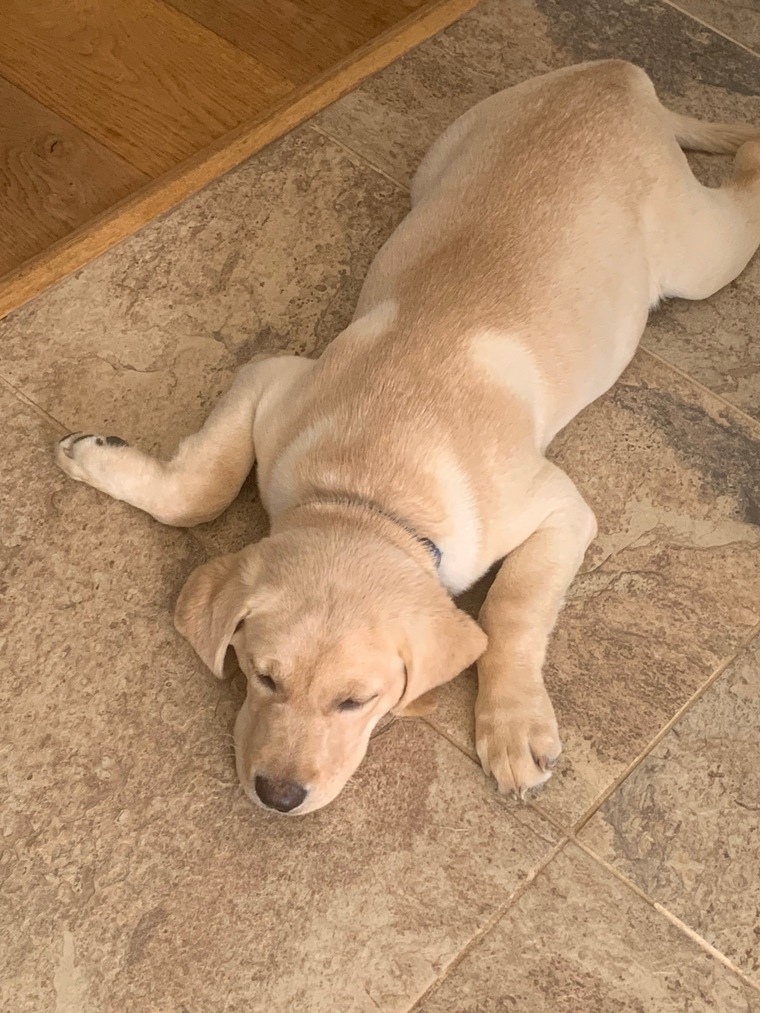 Knackered feet cover image