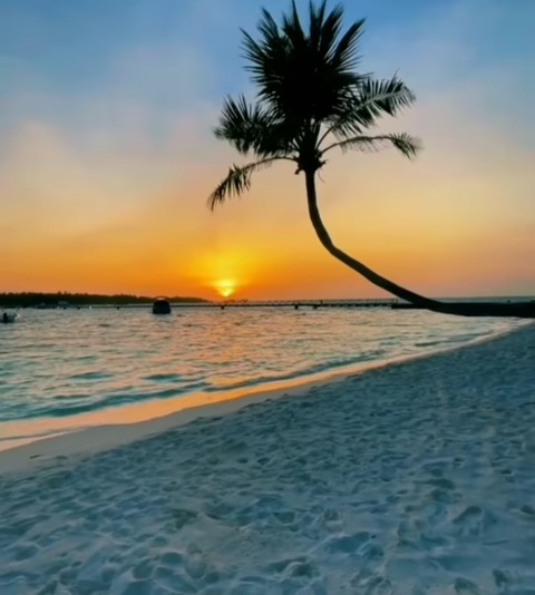 Tessy cover image