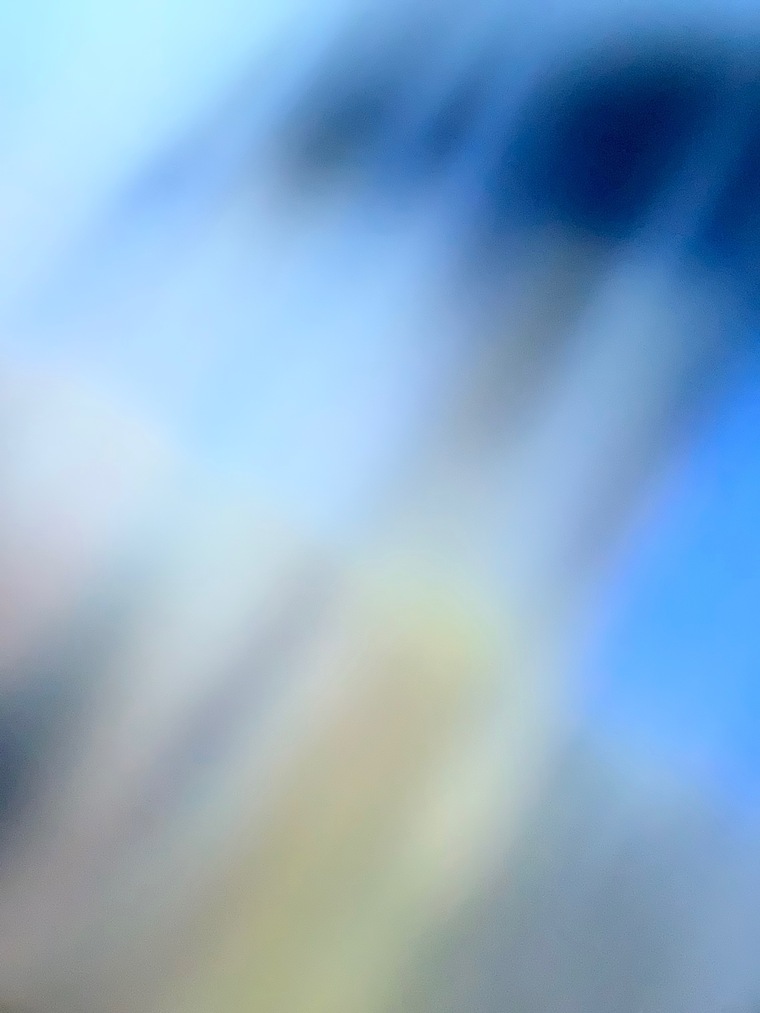 LadyFeetDancer cover image