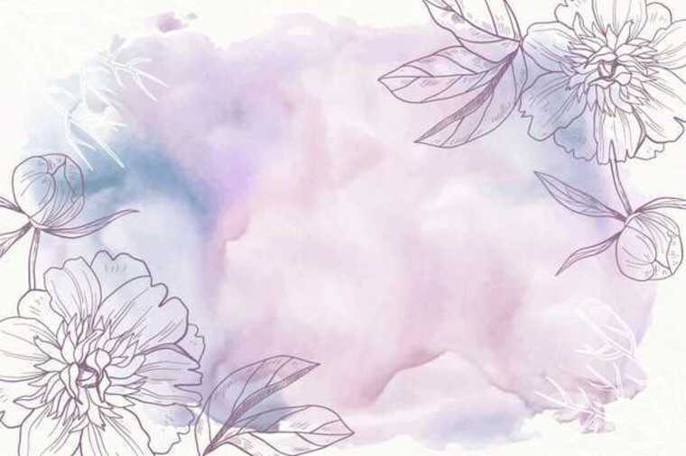 Qc_noum cover image