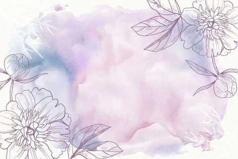 Qc_noum cover image