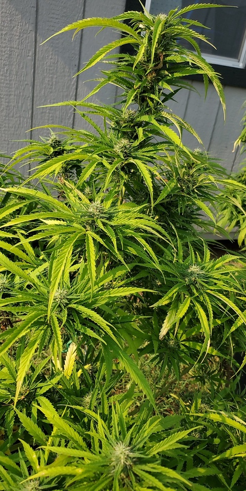u165469435 cover image