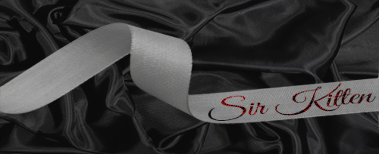 SirKitten cover image