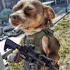 Adds6969 Warzone call of duty avatar