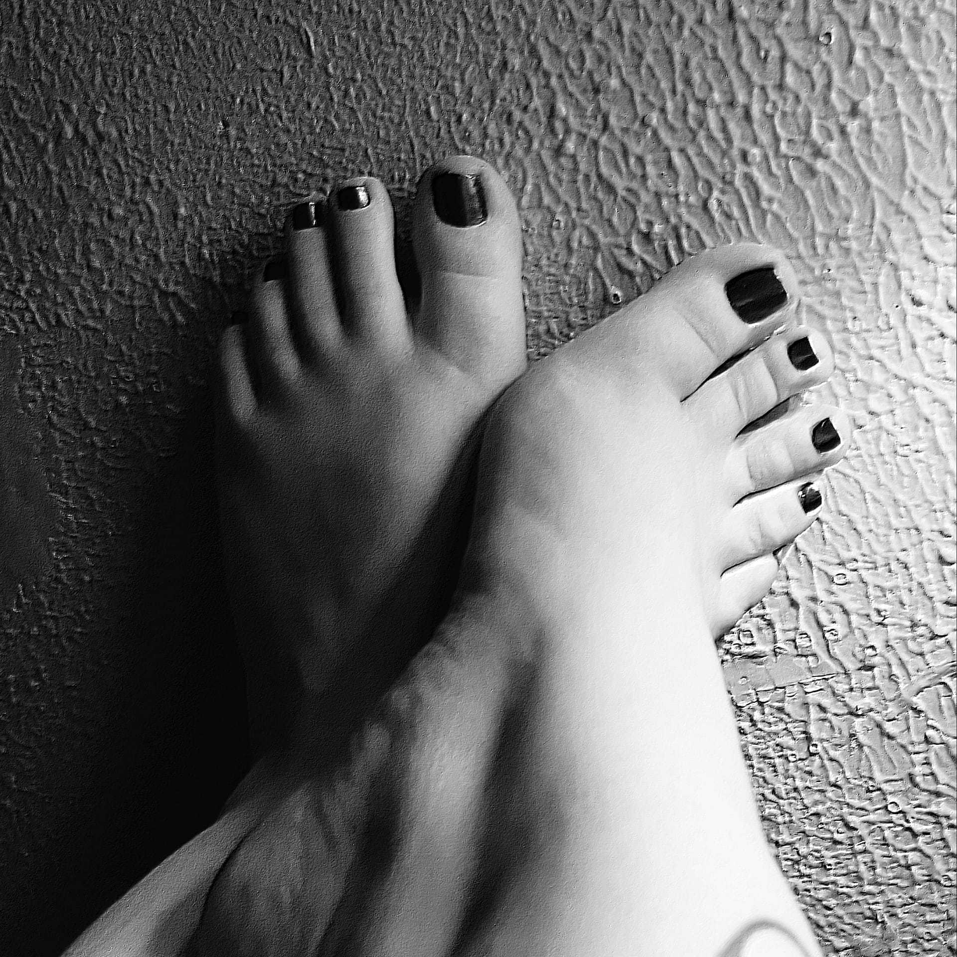 Exquisitely toed banner image