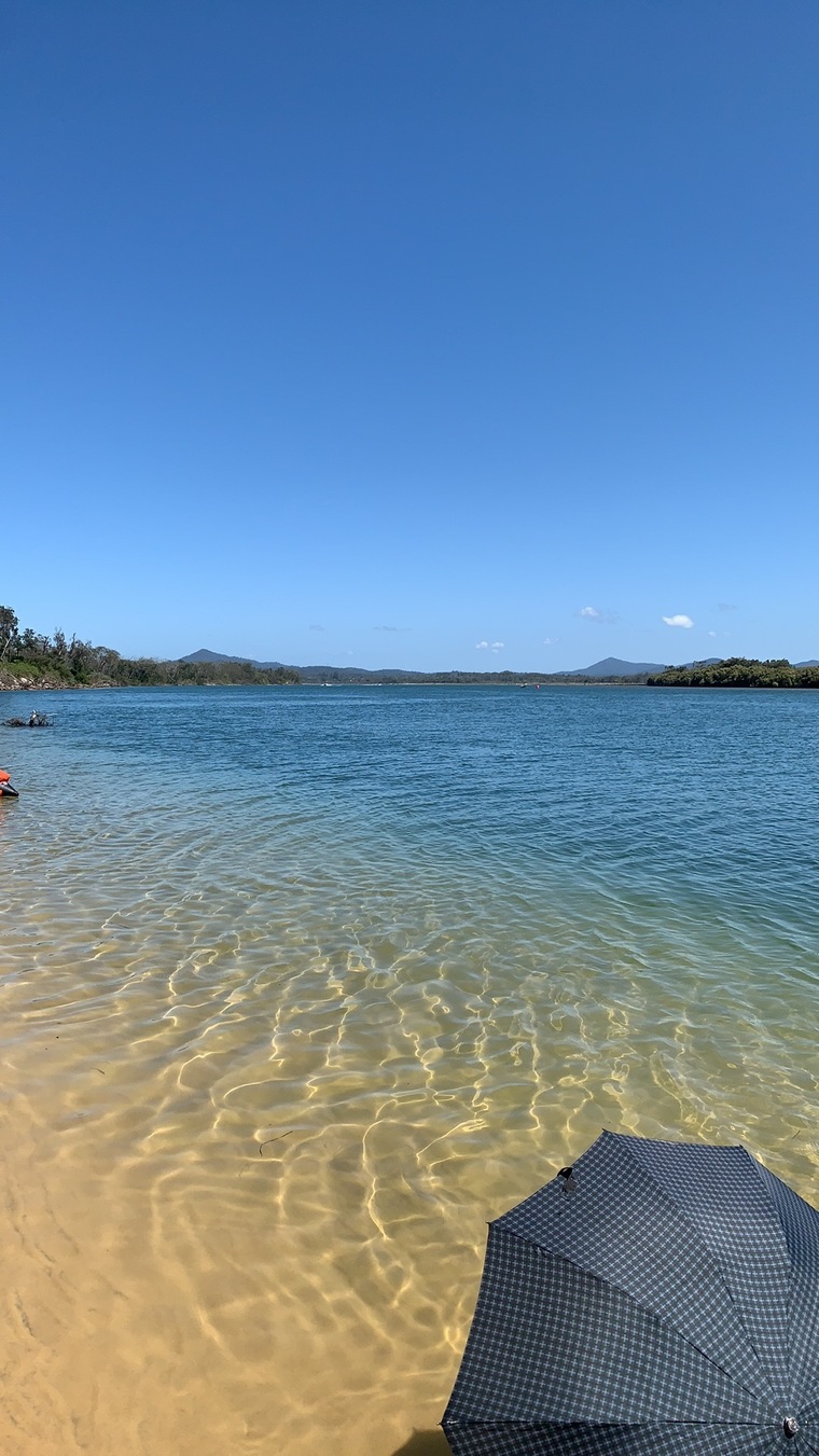 Ryan banner image