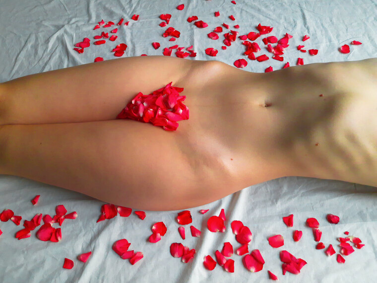 Pola_samantha banner image