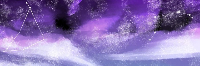 ChonkyRaven banner image