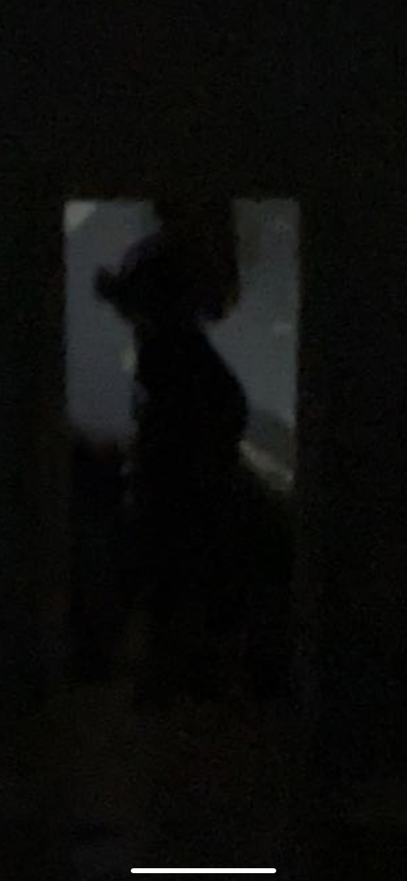Mry banner image