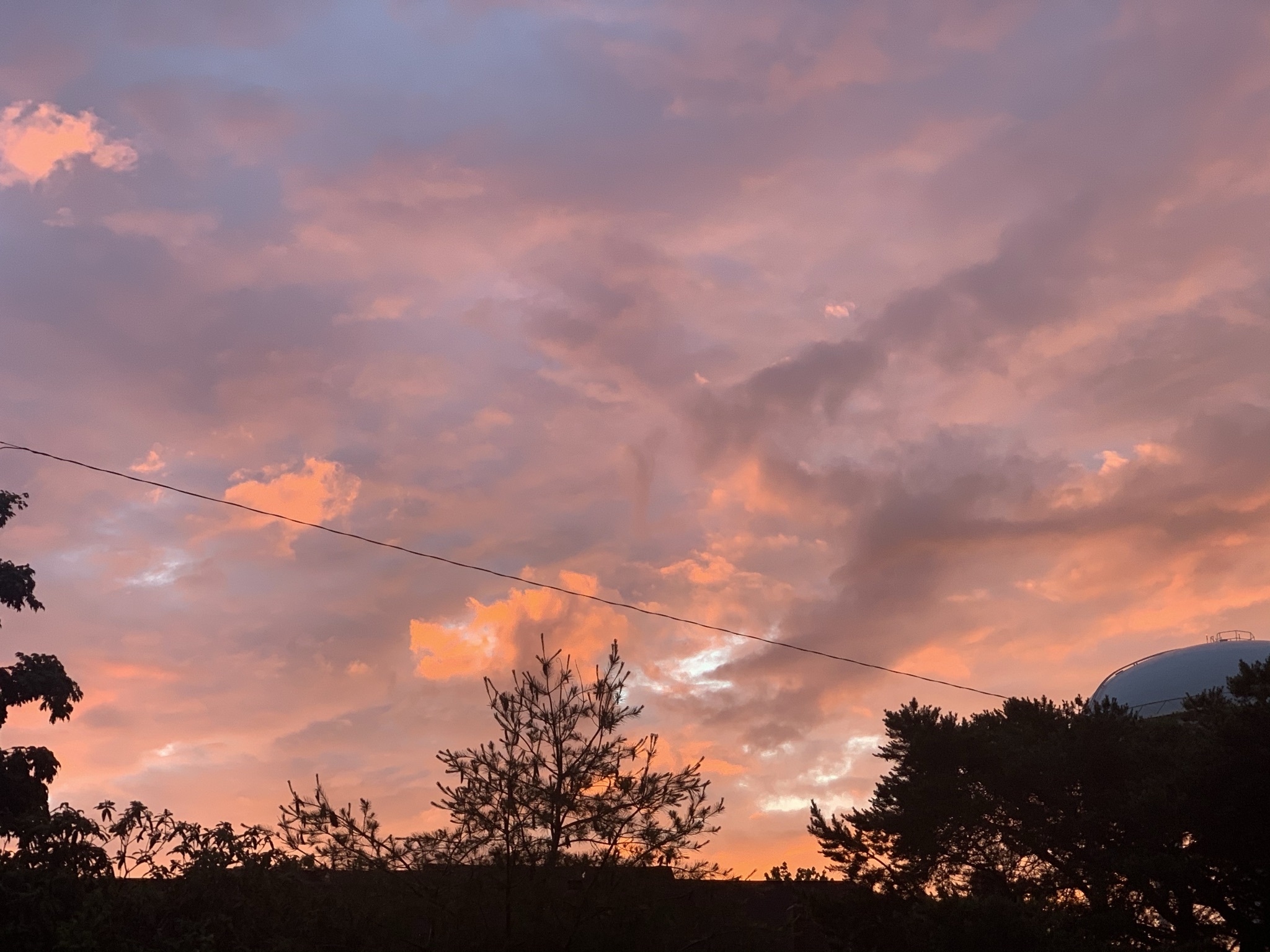 Elisa banner image