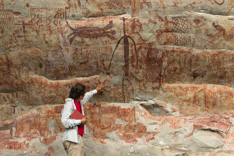 Archaeodidi cover image