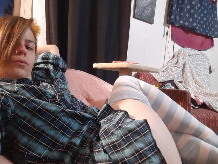 Babydoll Paws banner image
