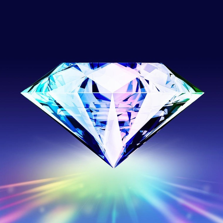 Camil banner image