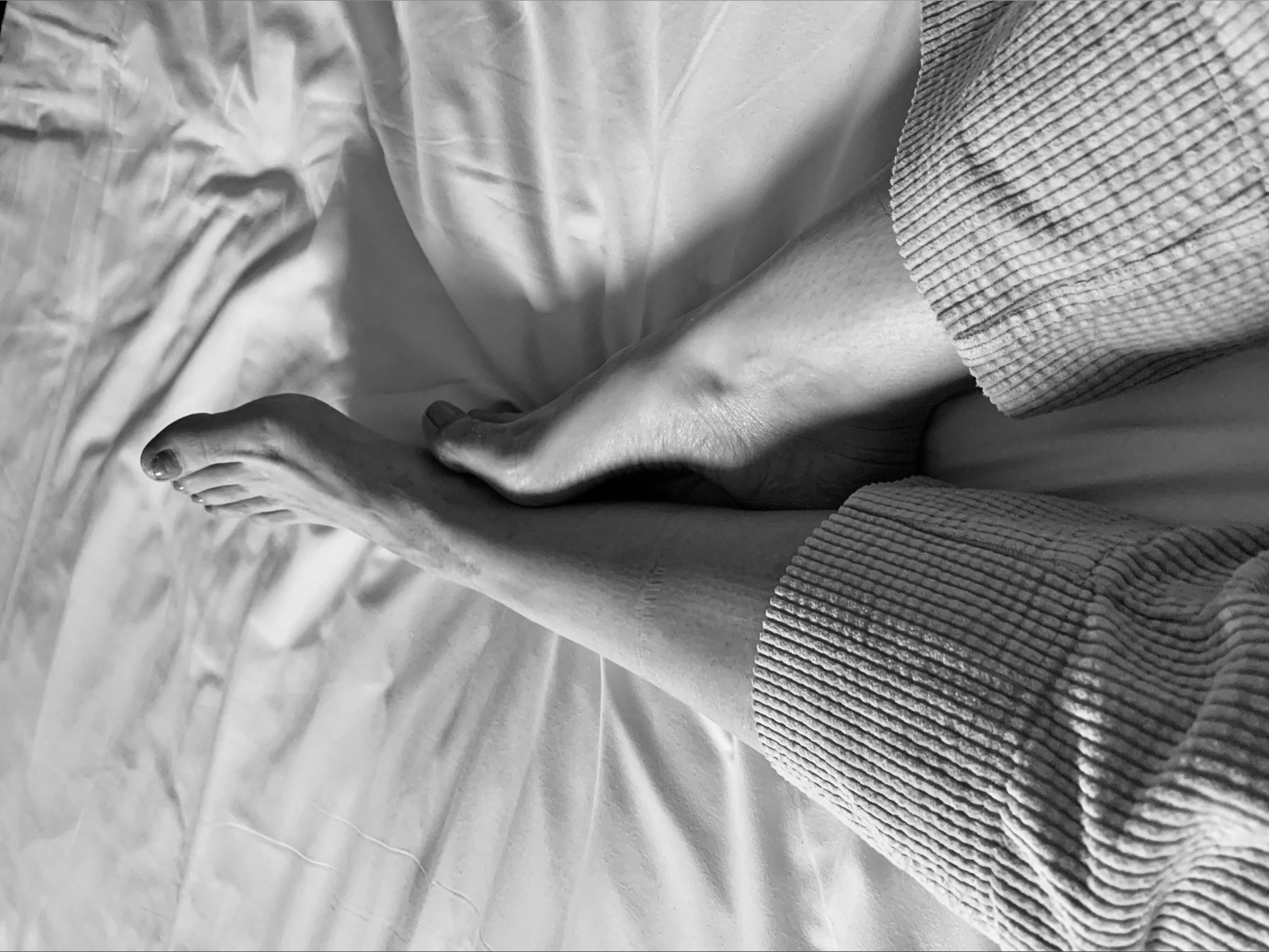 VelvetFeet banner image