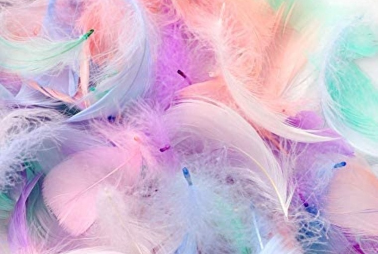 Fetish fancy cover image