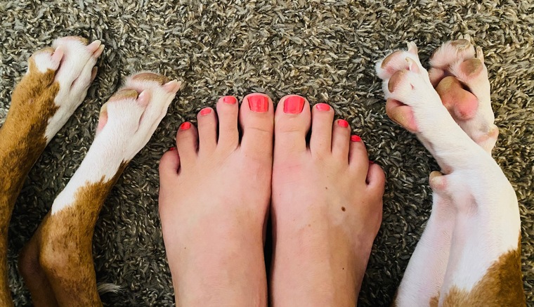 Mandy Paws cover image