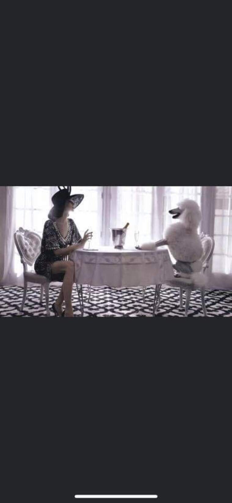 Contessa banner image