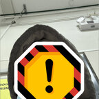Aronax26 avatar