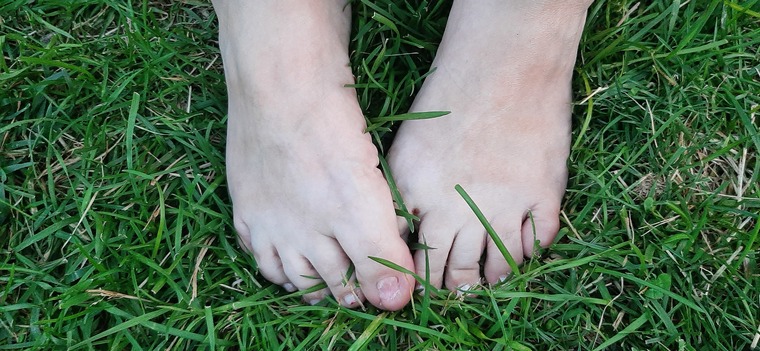 Txtoes cover image