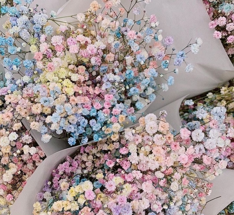 Skypinklady banner image