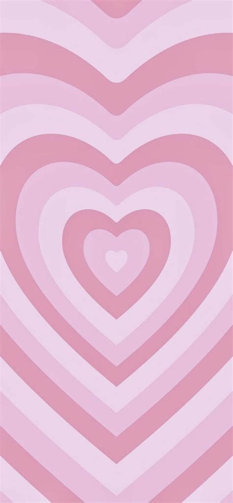 Tiny Bunny banner image