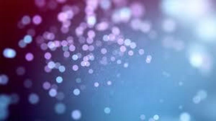DeeDee banner image