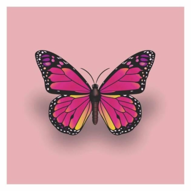 karina fnts cover image