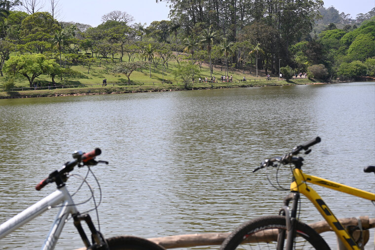 Gustavo Fransoni banner image