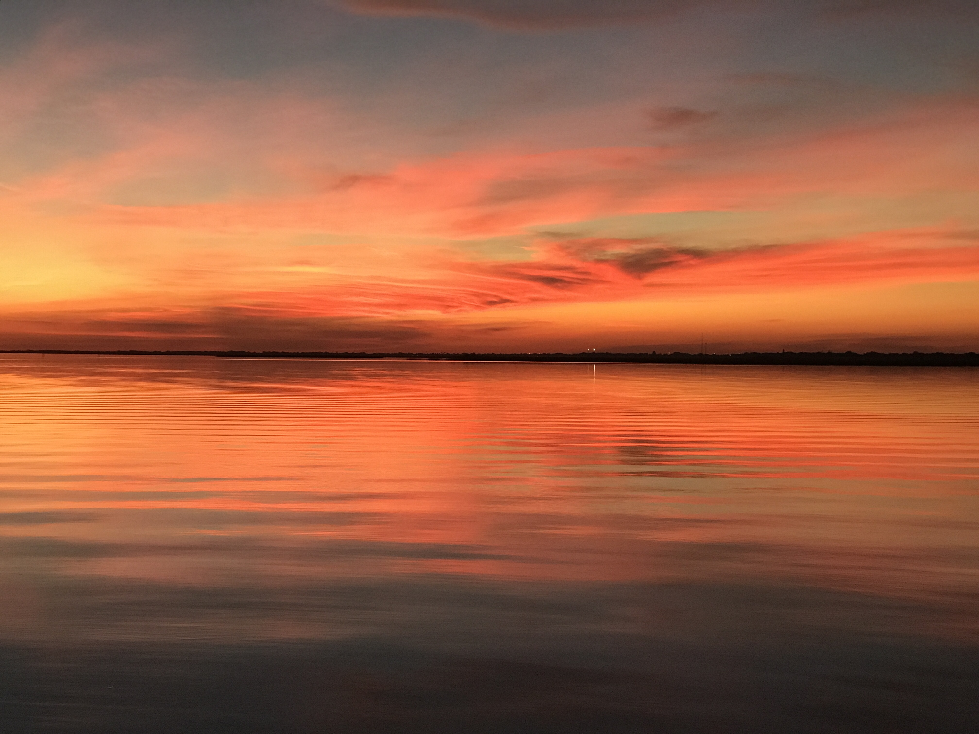 Summer Boudreaux banner image