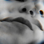 Robin Ren avatar