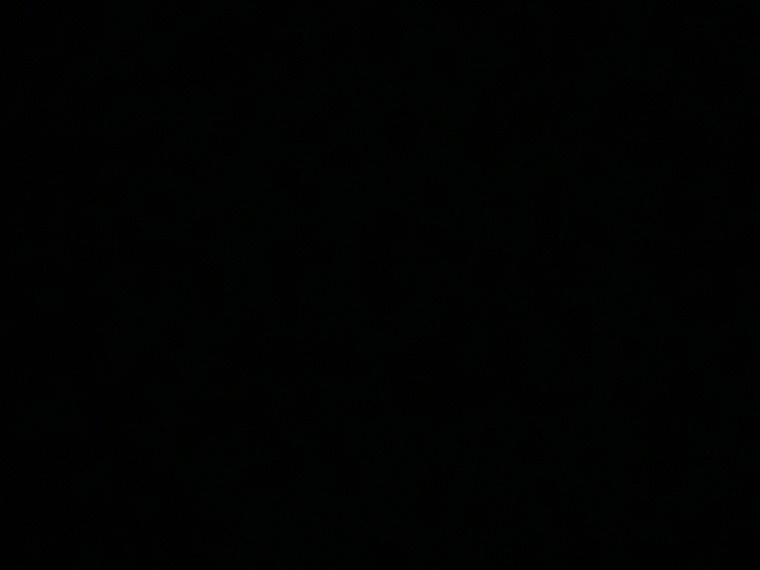 Vixen banner image