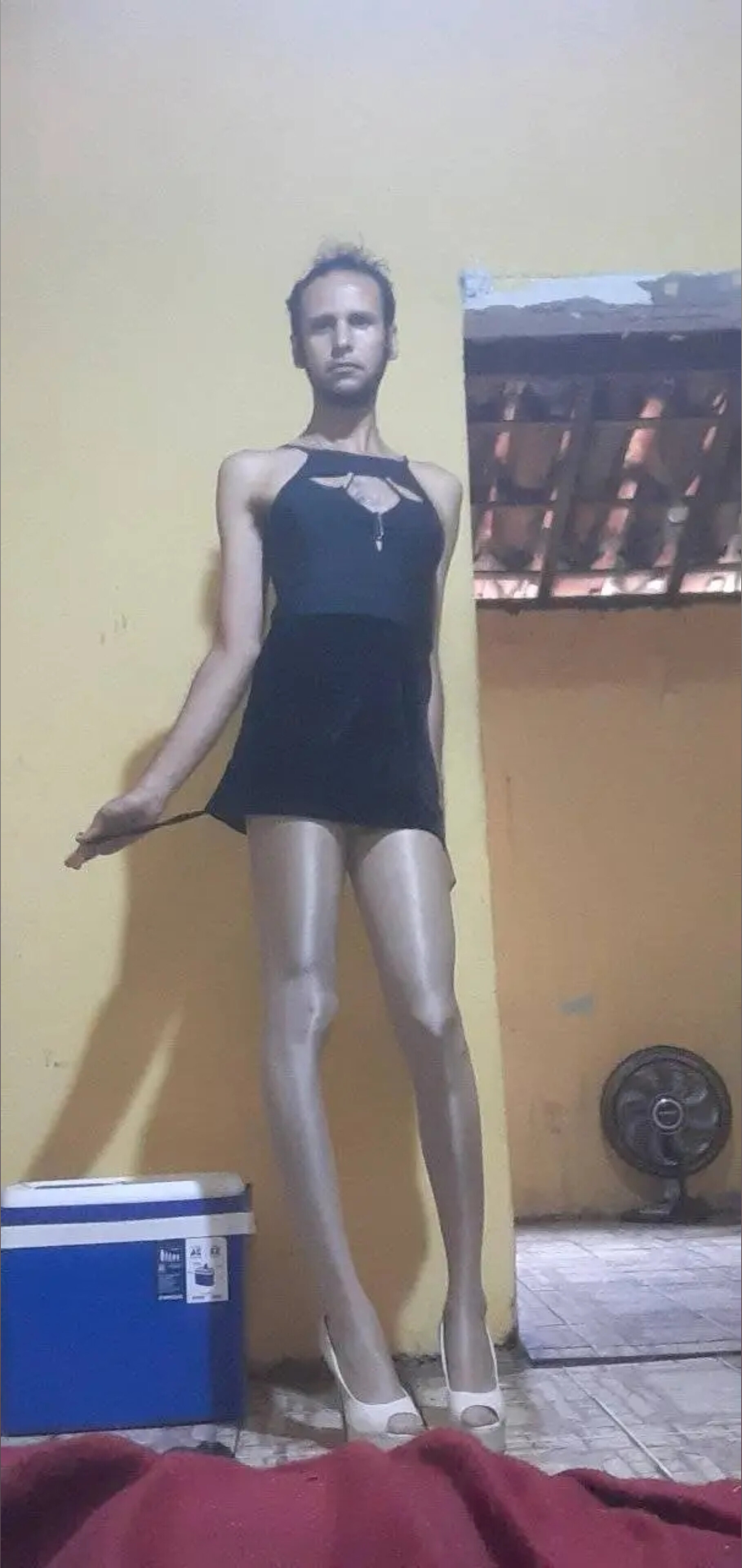 Ghabriela reina de las pantimedias banner image