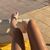 2girls4feets avatar