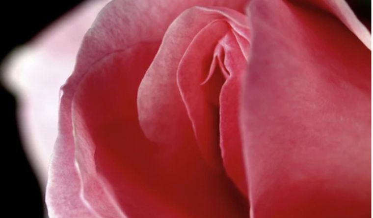j.hunny420z banner image