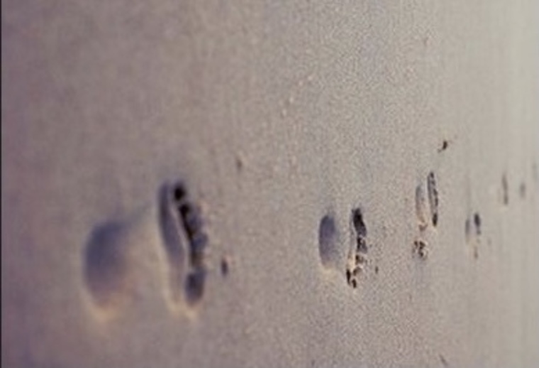 BARESOLES banner image