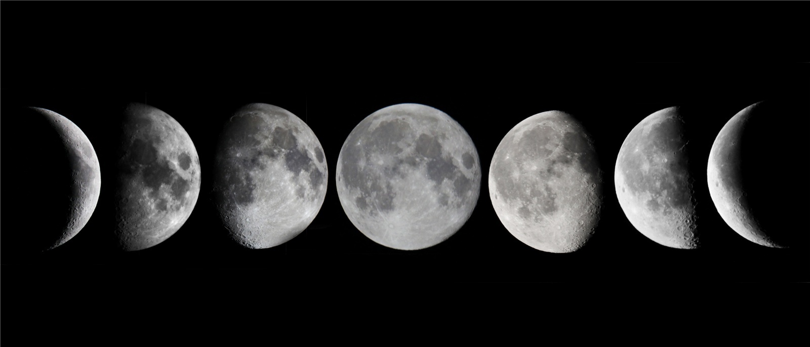 Luna Belle banner image
