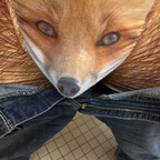 Ecclecticfennec avatar