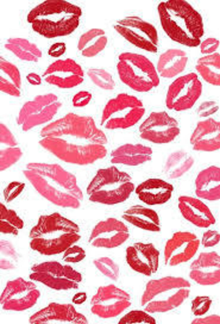 Sasha cover image
