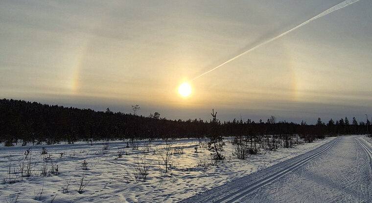 Janette cover image