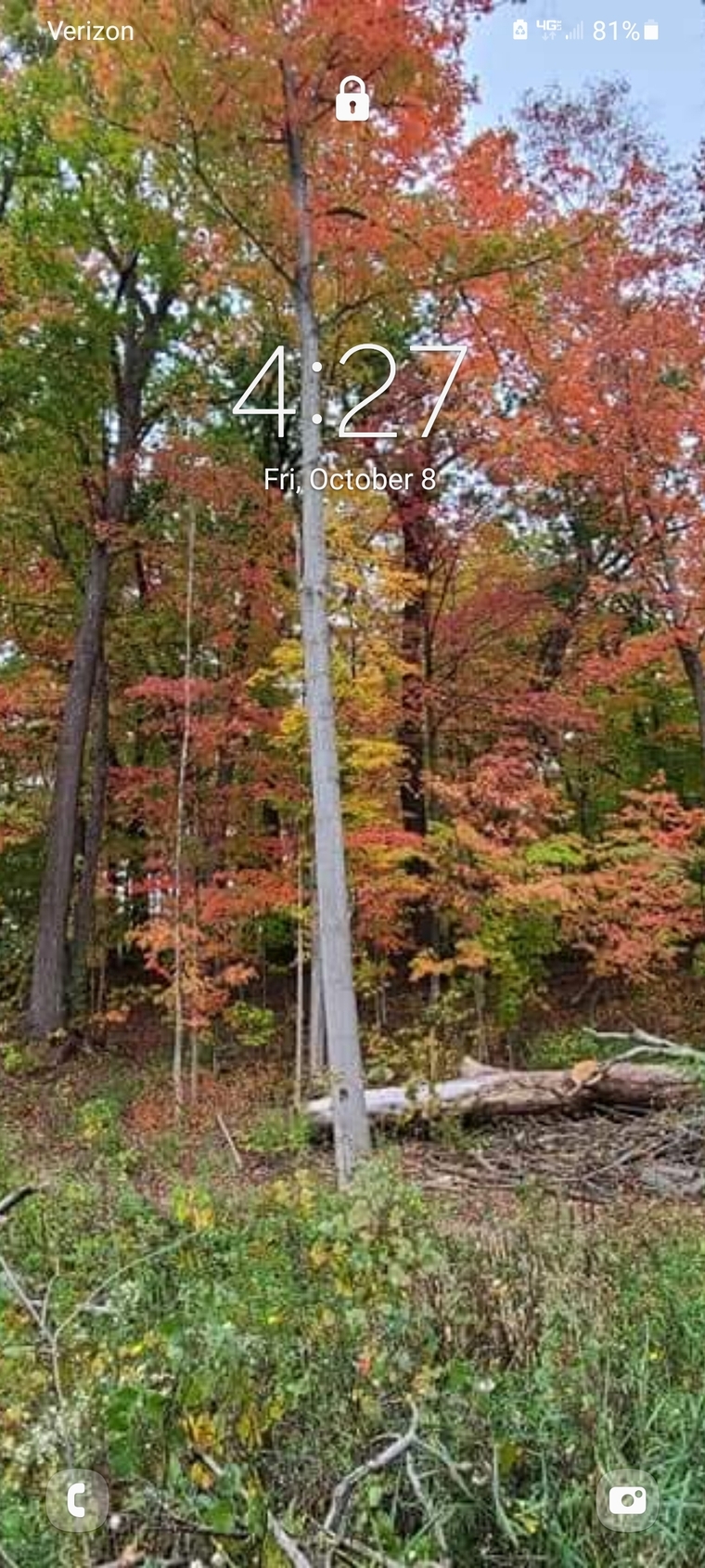 Taryn Voisin cover image